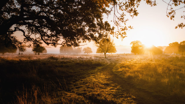 Tuhan sanggup membangkitkan Lazarus-Lazarus dalam hidup anda