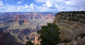 شما ظرفیت و توانایی بالایی برای انجام کار خدا دارید