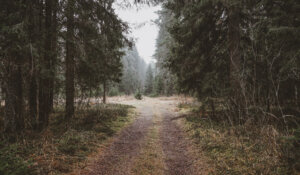 خداوند شما را در مسیرتان هدایت می کند