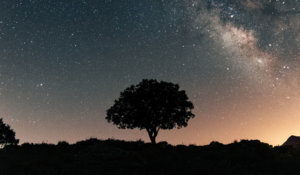 آنچه که هرگز زائل نخواهد شد