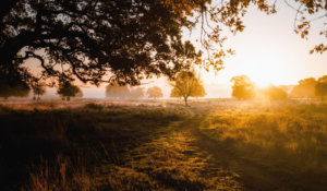 هر روز نزدیک تر شدن به خدا