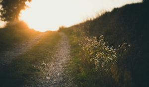 از جلال به جلال