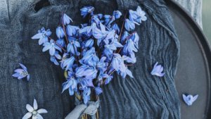 დაუმსახურებლად მიღება