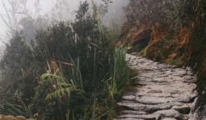 Tre semplici passi per attivare la tua fede