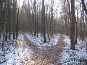 Cieleśni i duchowi chrześcijanie