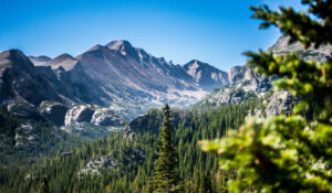 Дух Или Плоть