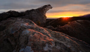 Бог не прячется