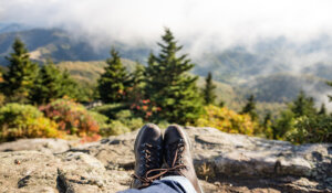 Жизнь посвящения