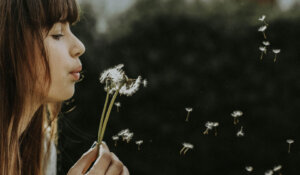 ప్రశాంతమైన, చల్లని మరియు స్థిరమైన జీవితం యొక్క స్వాతంత్ర్యం